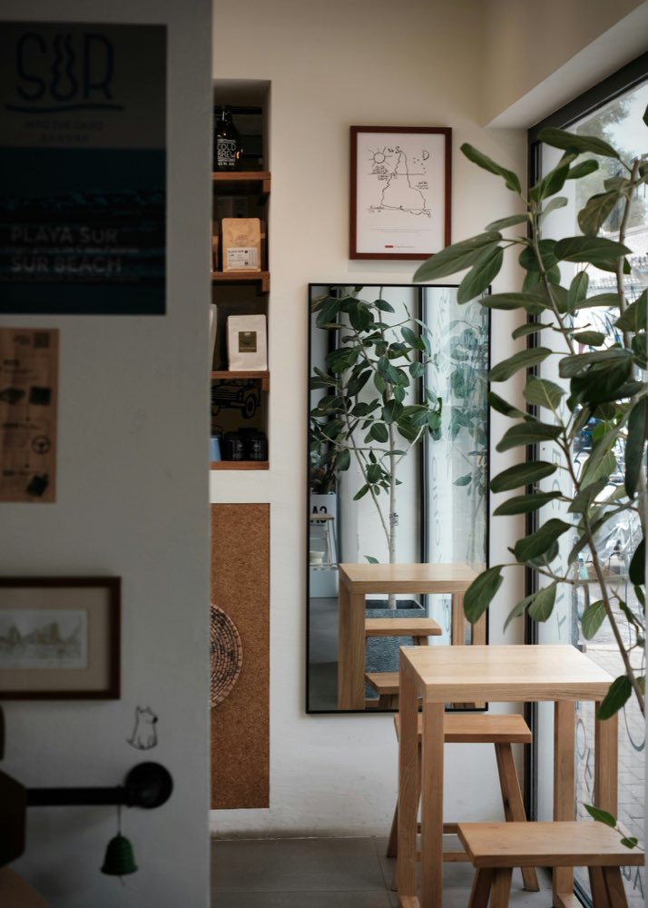 A cosy café corner with wooden stools and plants by the window